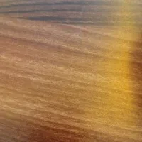 منشی خانم و شاگرد آقا