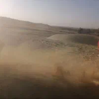 کاه فله درجه ۱