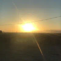 زمین بوشهر سرتل مهر ۸۲