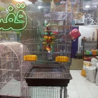 لوازم و ملزومات پرندگان قفس گرینچیک عروس هلندی