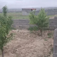 باغ-فروشی