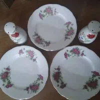 پیش دستی و نمکدان، ظروف سرو و پذیرایی