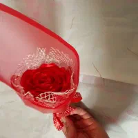 فروش فوری گل جاویدان ربانی|گل مصنوعی|مشهد, شهید بصیر|دیوار