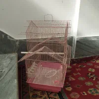 قفس پرنده