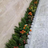 باغبان سیار به تمام نقاط تهران فقط یک تماس|خدمات باغبانی و درختکاری|تهران, سعادت‌آباد|دیوار