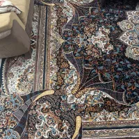 فرش|فرش|بندر انزلی, آذربایجان|دیوار