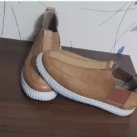 کفش ونس