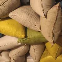 گندم