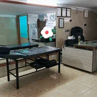 اجاره لاین ناخن و مژه و کراتین