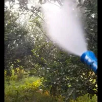 سمپاشی و تهیه سم ، برش و هرس درخت کود دهی باغبانی