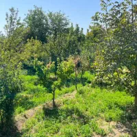 نیازمند باغبان مسلط به کلیه امور کشاورزی