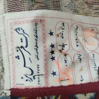 فرش|فرش|گلبهار, شهر جدید گلبهار|دیوار