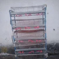 قفس بلدرچین