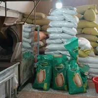 پخش تخمه امیرعلی قرچک ورامین