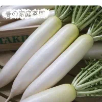 ترپ سفیدو سیاه و شلغم و اوشینی|خوردنی و آشامیدنی|شاهین دژ, |دیوار