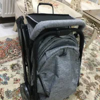 کالسکه مسافرتی ریچ کیدز (RICH KIDS)