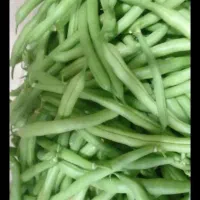 لوبیاسبز تازه