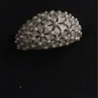 انگشتر طلا گمشده