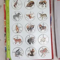 چهار عدد اسباب بازی بچه گانه