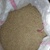 گندم فروشی|لوازم جانبی حیوانات|اسفراین, |دیوار