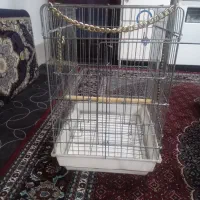 قفس عروس هلندی