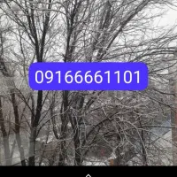 فروش سیم کارت رند