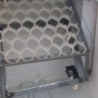 دستگاه جوجه کشی ۸۵تایی|لوازم جانبی حیوانات|قم, نخودی|دیوار