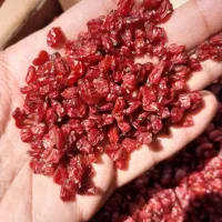 زرشک قائنات