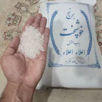 فروش برنج طارم روشن