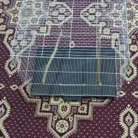 قفس ۵۰ در ۳۰ و آغل و لانه پرنده و سرلاک|لوازم جانبی حیوانات|مشهد, نیزه|دیوار