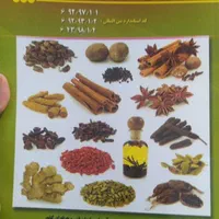 آموزش طب سنتی و گیاهان دارویی در آموزشگاه|خدمات آموزشی|شیراز, سینما سعدی|دیوار