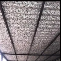 ایرانیت شانی درجه ۱