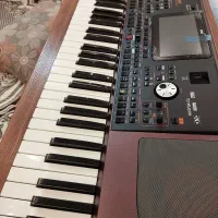 ارگ کرگ  pa1000  اک اک اک کارتن باز|پیانو، کیبورد، آکاردئون|مشهد, تربیت (صدف)|دیوار