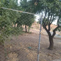 زمین کشاورزی وباغی پل زمانخان