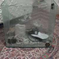 اکواریوم