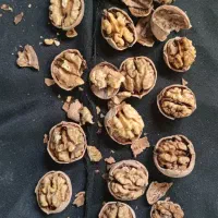 گردوی پوست گاغذی مغز سفید|خوردنی و آشامیدنی|شاهین دژ, |دیوار