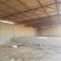 گاوداری ۵ هزار متری (فروش و معاوضه)با تمام مجوازات