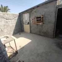 ملک فروشی/ گاو داری/ مرغ داری