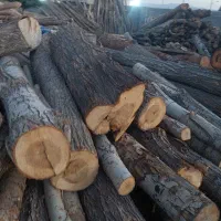 خرید چوب|خدمات باغبانی و درختکاری|یاسوج, |دیوار