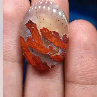 شجر درختی بی نظیر|جواهرات|سرایان, |دیوار