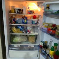 یخچال فیلور ۱۴ فوت نو|یخچال و فریزر|گنبد کاووس, |دیوار