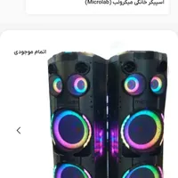 اسپیکر میکرولب جفت