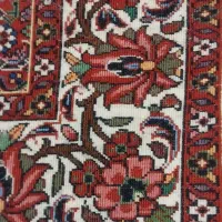 قالی نقشه بیجار|فرش|سقز, |دیوار
