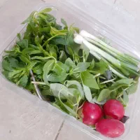 سبزی خوردن پاک کرده