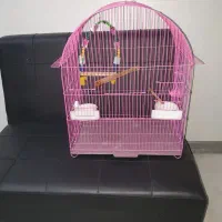 قفس پرنده|لوازم جانبی حیوانات|رشت, منظریه|دیوار