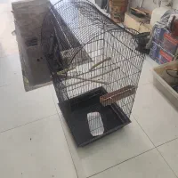 قفسه پرنده طوطی،عروس هلندی با تجهیزات، ۷۰۰|لوازم جانبی حیوانات|اصفهان, قلعه طبره|دیوار