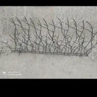 حفاظ روی دیوار در مشهد و گلبهار|خدمات پیشه و مهارت|مشهد, توس (بلوار توس)|دیوار