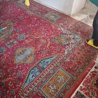 فرش ۱۲ متری کاملا سالم|فرش|ری, |دیوار