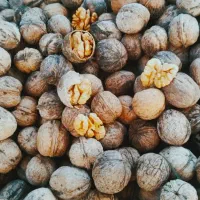 گردو مغزپرسفیدنورآباد