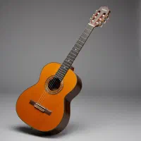 گیتار کلاسیک یاماها C80 اصل